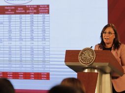 Rocío Nahle fue entrevistada al término de una reunión que encabezó AMLO con los gobernadores de Campeche y Nayarit en Palacio Nacional. NTX/ARCHIVO