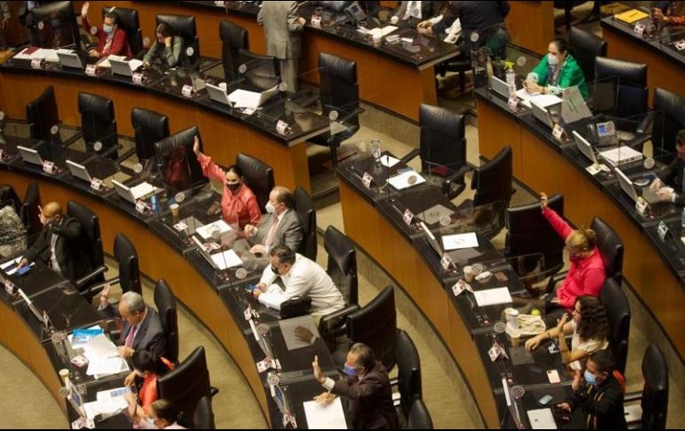 La minuta aprobada por el Senado fue enviada a la Cámara de Diputados. EFE/G. Espinosa