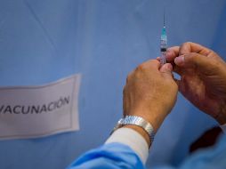 Clouthier menciona que merece la pena agradecer el esfuerzo de España para cubrir y apoyar a algunos países latinoamericanos con vacunas. EFE / ARCHIVO