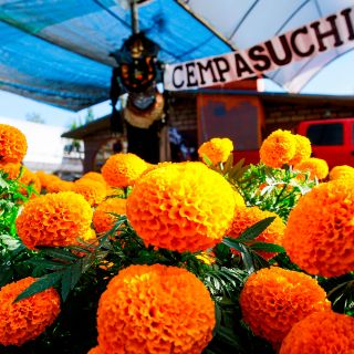 Día de Muertos 2021: Vendedores de cempasúchil con renovadas esperanzas este año