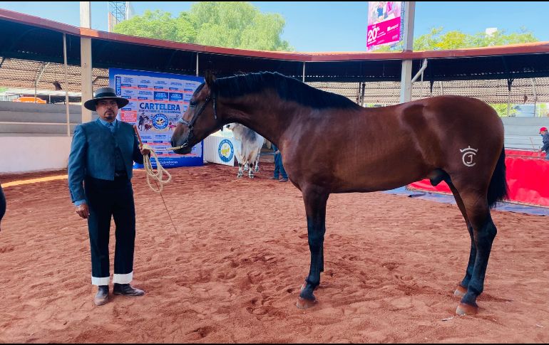 La LVII edición dará inicio el próxmo jueves 21 de octubre y terminará el 14 de noviembre de 2021. ESPECIAL