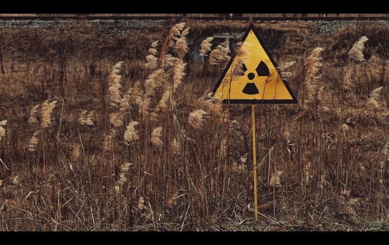 UNSPLASH/ OLEKSANDRA