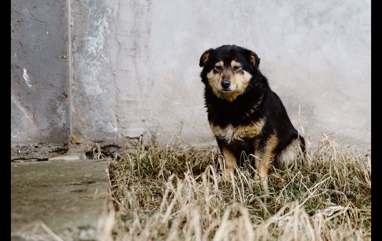 UNSPLASH/ARTE MALTSEV