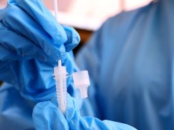 Ya se está investigando su reacción ante las vacunas existentes. AFP / ARCHIVO