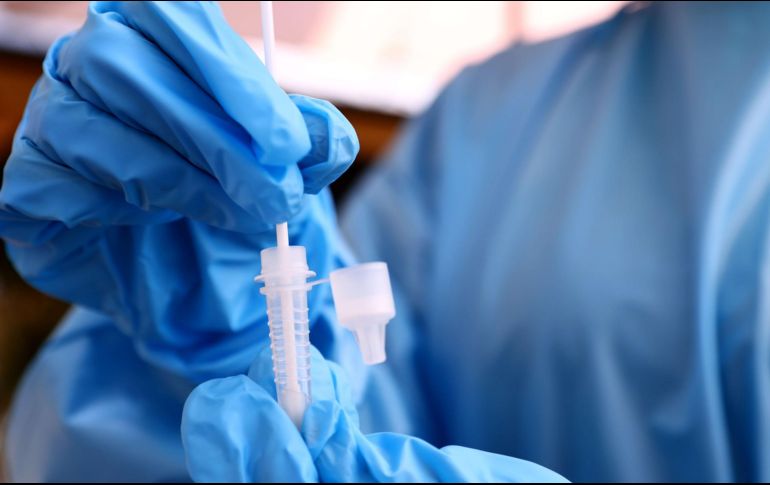 Ya se está investigando su reacción ante las vacunas existentes. AFP / ARCHIVO