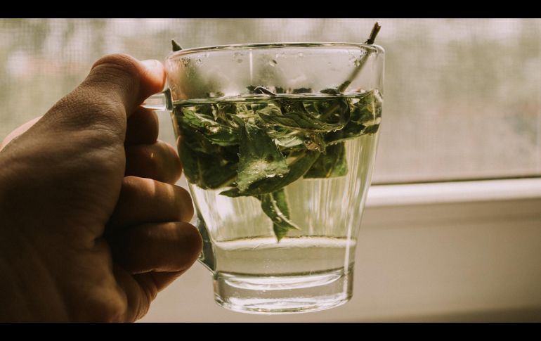 UNSPLASH/ ANTON DARIOS