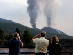 El caso de los perros atrapados en la isla capturó la atención internacional. EFE/M. Calero