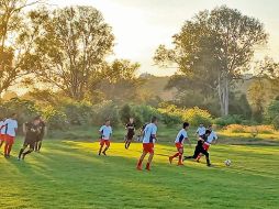 Intensos. Los encuentros de la Liga de los Animales son cada vez más interesantes. Cortesía