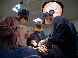 Se trata de un pequeño avance en la búsqueda de varias décadas por utilizar algún día órganos animales en trasplantes para salvar vidas. EL INFORMADOR / ARCHIVO