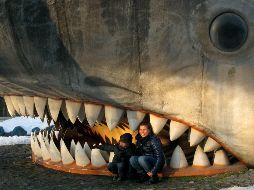 Para muchos, el megalodón no ha desaparecido y aseguran que vive en lo profundo del mar, aunque no hay evidencia de eso. AP / ARCHIVO