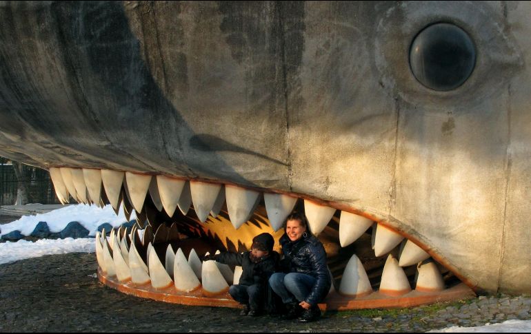 Para muchos, el megalodón no ha desaparecido y aseguran que vive en lo profundo del mar, aunque no hay evidencia de eso. AP / ARCHIVO
