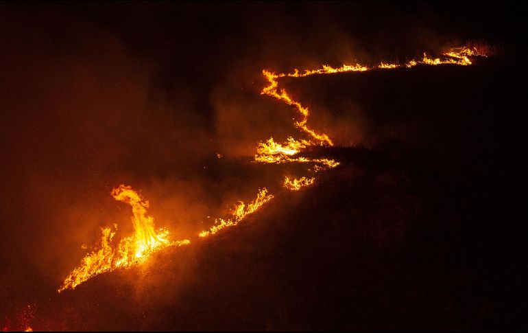 Se catalogó a los 24 ejecutados como 