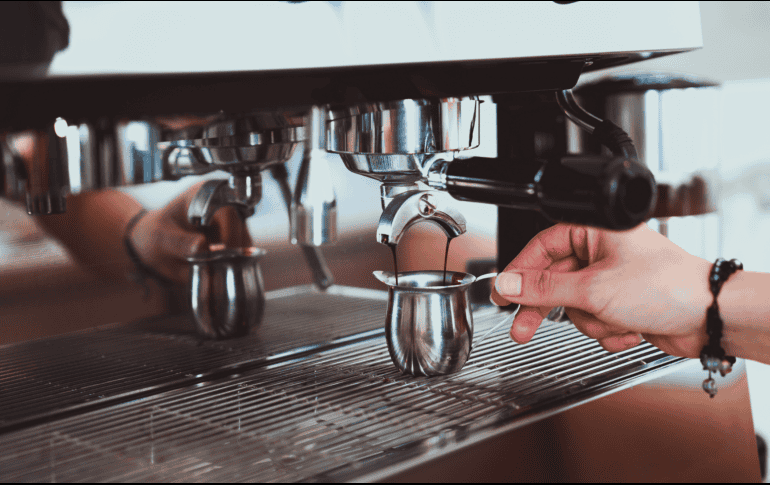 Mona Ramona se encuentra en la colonia La Estancia. ESPECIAL/CORTESÍA MONA RAMONA.