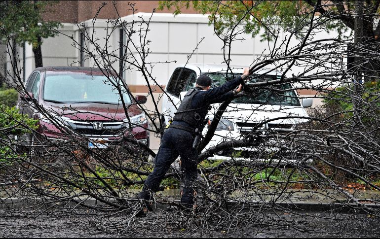 Postes de cableado eléctrico fueron derribados y decenas de miles de personas en North Bay, California permanecían sin electricidad. AP / ARCHIVO