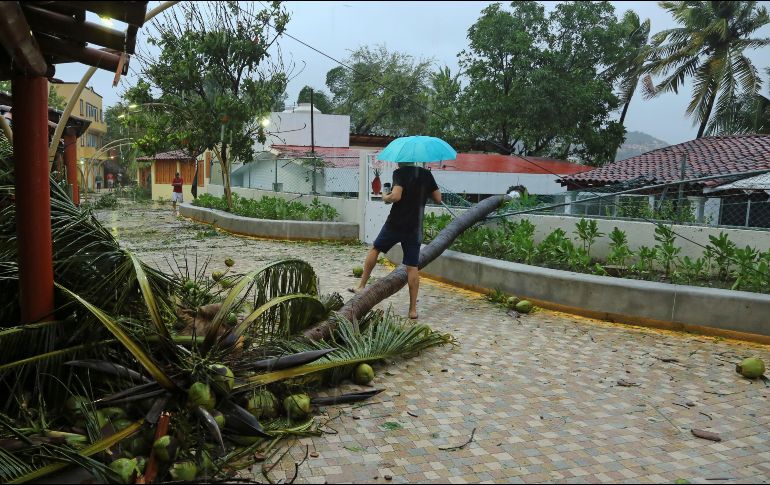 Un hombre camina por la playa cubierta de ramas de árboles después del paso del 