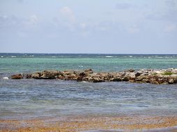 El presidente de México lamentó los acontecimientos. NTX/ ARCHIVO