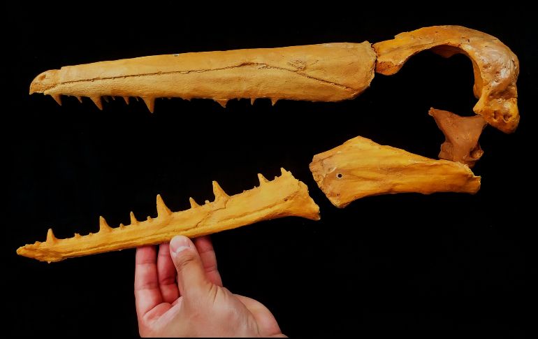 El desierto de Atacama se encuentra en la parte norte de Chile. EFE/ CIAHN