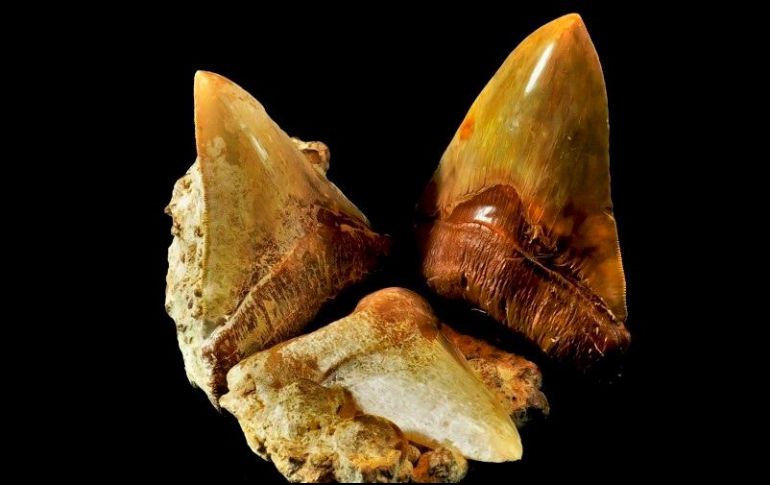 El desierto de Atacama se encuentra en la parte norte de Chile. EFE/ CIAHN