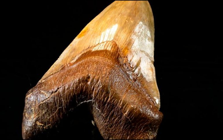 El desierto de Atacama se encuentra en la parte norte de Chile. EFE/ CIAHN