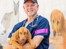 En la foto Mike McFarland, jefe médico de Zoetis, empresa preocupada por desarrollar la vacuna contra el COVID-19 en animales. EFE / AMERICAN HUMANE