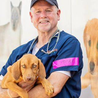 COVID-19: La silenciada labor de crear una vacuna para animales