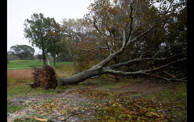 Trabajadores de servicios públicos trabajaban para restaurar la electricidad una vez que los vientos y la lluvia disminuyeron durante el día. EFE/C. Gunther