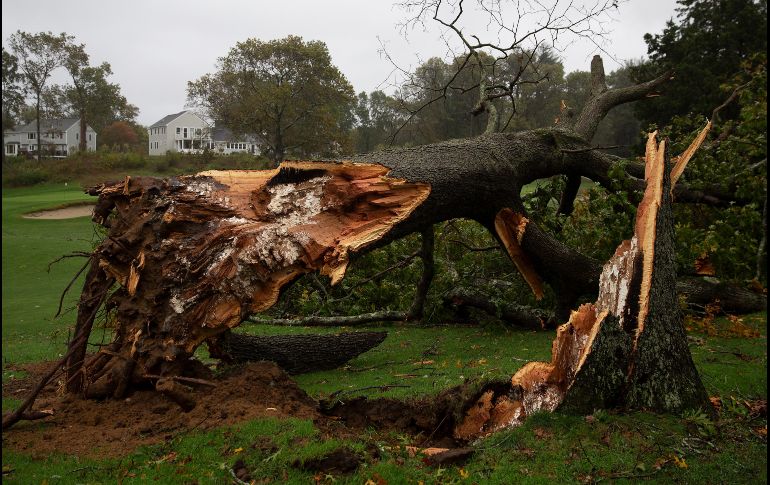 Trabajadores de servicios públicos trabajaban para restaurar la electricidad una vez que los vientos y la lluvia disminuyeron durante el día. EFE/C. Gunther