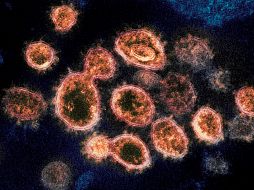 La píldora usada en el tratamiento experimental contra el coronavirus es de precio más accesible que los usados en la actualidad. AP