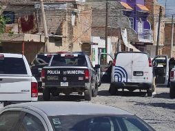 Asistieron peritos del Instituto Jalisciense de Ciencias Forenses quienes recabaron indicios y posteriormente levantaron el cuerpo para llevarlo a sus instalaciones y realizarle la autopsia de ley correspondiente. ESPECIAL