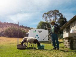 Entre las acciones que han tomado, cabe destacar que, en México, lograron la meta de devolver a la naturaleza el 100% del agua empleada para la elaboración de sus productos 5 años antes de lo previsto. ESPECIAL