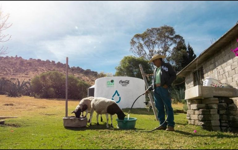 Entre las acciones que han tomado, cabe destacar que, en México, lograron la meta de devolver a la naturaleza el 100% del agua empleada para la elaboración de sus productos 5 años antes de lo previsto. ESPECIAL