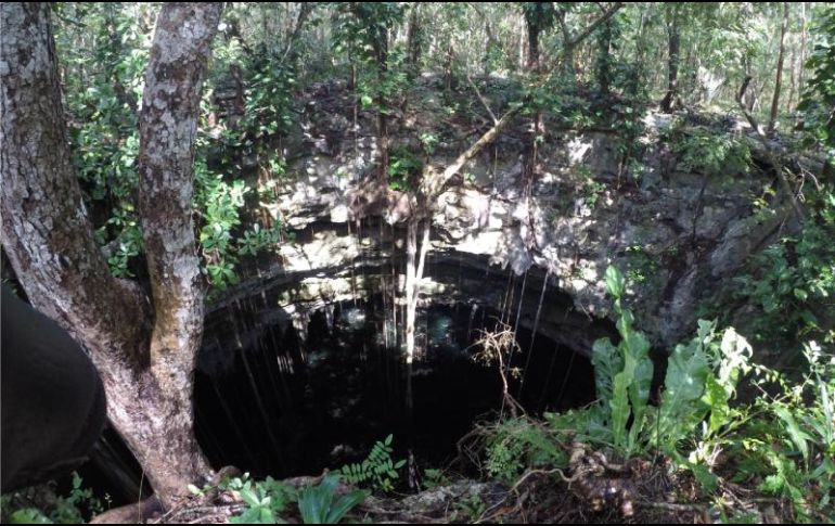 La importancia del hallazgo recae en el estado de conservación en que la canoa fue encontrada. ESPECIAL/INAH