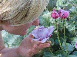 Volver a oler. Tras la COVID-19, algo que a veces no es sencillo. PIXABAY