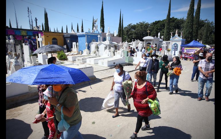 Se permite el acceso a grupos de máximo 10 personas. ESPECIAL/Ayuntamiento de Guadalajara