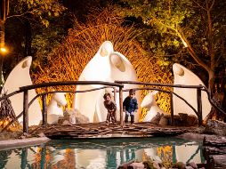 El nacimiento es uno de los spots favoritos / Foto: Cortesía Navidalia