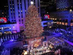 El árbol más famoso de Nueva York será cortado el 11 de noviembre y llegará al Rockefeller Center dos días después. AP/ARCHIVO