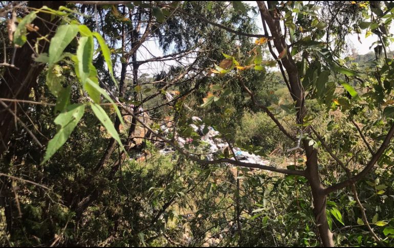 Tequila produce al menos 40 toneladas de basura al día. ESPECIAL /