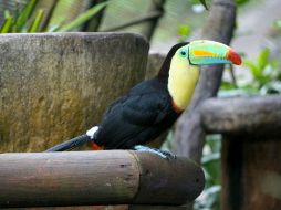 Los animales son felices este increíble paraíso natural / Foto: Cortesía