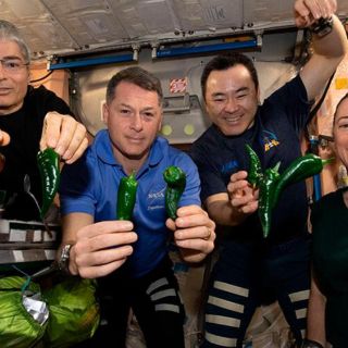 Astronautas de SpaceX usarán pañales de regreso a casa por esta razón