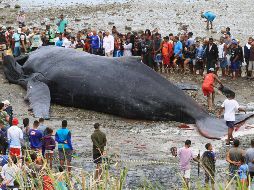 Elementos de la Fuerza Armada y de Protección Civil ya se encuentran en el lugar de los hechos. EFE/ARCHIVO
