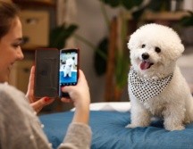 ISTOCK GETTY IMAGES/SLOBODAN VASIC