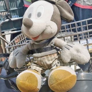 Crónica de un peluche transeúnte