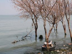 Sin la potabilización que hace el SIAPA, el agua de Chapala no sería recomendable para consumo humano. EL INFORMADOR/Archivo