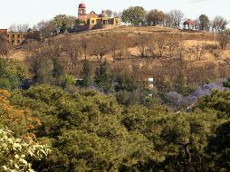 El bosque del Nixticuil fue declarado área natural protegida en el 2008. EL INFORMADOR/ARCHIVO