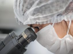 La segunda generación podría incluir administración nasal u oral. EFE/A. Coelho