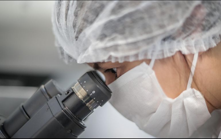 La segunda generación podría incluir administración nasal u oral. EFE/A. Coelho