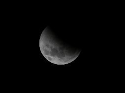 El eclipse lunar podrá ser apreciado en su mayor magnitud el 19 de noviembre. ESPECIAL/Photo by Marcus Dall Col on Unsplash