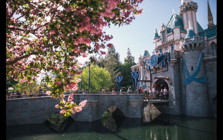 Un viaje lleno de fantasía que puedes disfrutar a cualquier edad / Photo by Avel Chuklanov on Unsplash