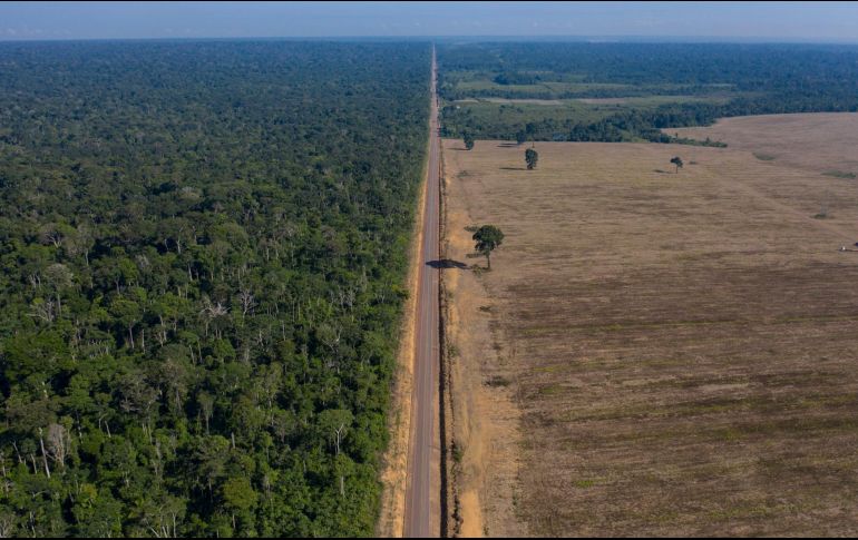 La Amazonia pierde mayor cantidad de superficie cada año, contrario al discurso oficialista de Brasil en la Cumbre Climática. AFP/Archivo