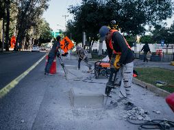 Trabajadores realizan cambios en la ciclovía ubicada en avenida México; instalan segregadores de cemento para delimitar de mejor manera el espacio con los carriles vehiculares. EL INFORMADOR/G. Gallo